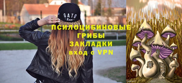 дурь Киренск